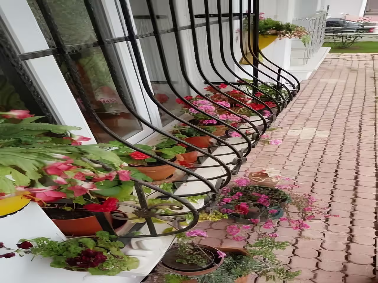 نمایندگی های خرید حفاظ پنجره در شهرهای مختلف نمایندگی های خرید حفاظ پنجره در شهرهای مختلف