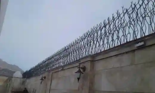 لیست قیمت حفاظ شاخ گوزنی