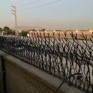 حفاظ شاخ گوزنی متری چند