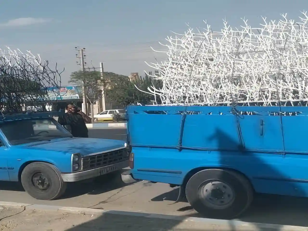 ارسال حفاظ شاخ گوزنی