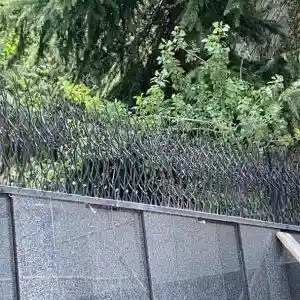 حفاظ شاخ گوزنی - تصویر 2