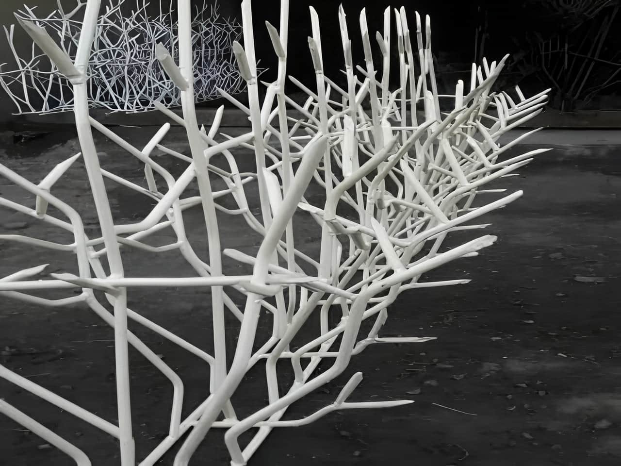 تعیین قیمت حفاظ شاخ گوزنی