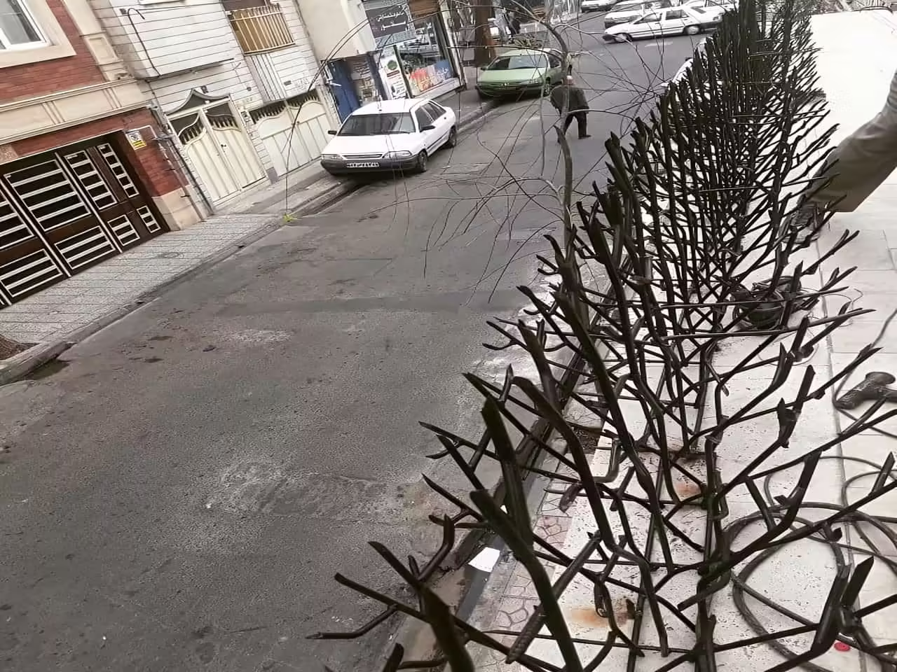هزینه حمل و نقل حفاظ شاخ گوزنی