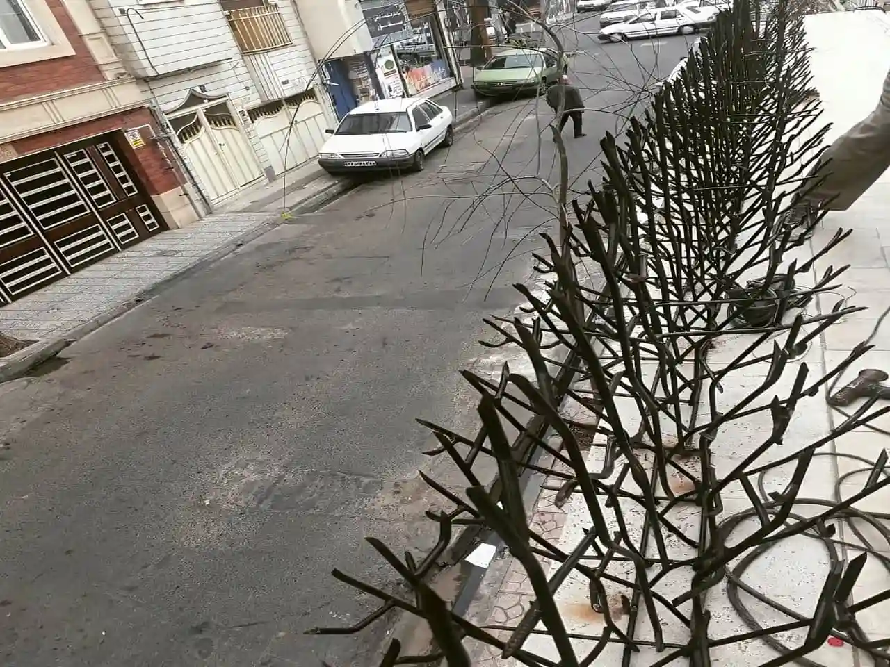 هزینه حمل و نقل حفاظ شاخ گوزنی