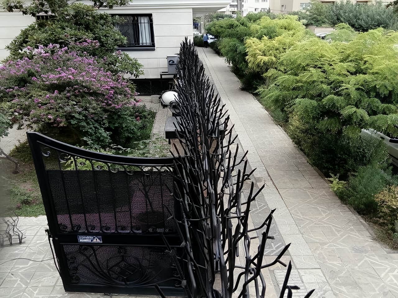 حفاظ شاخ گوزنی به عنوان یک سپر امنیتی