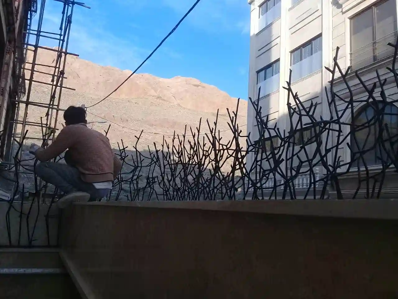 حفاظ شاخ گوزنی و اثر آن بر کاهش درصد عبور از روی دیوار