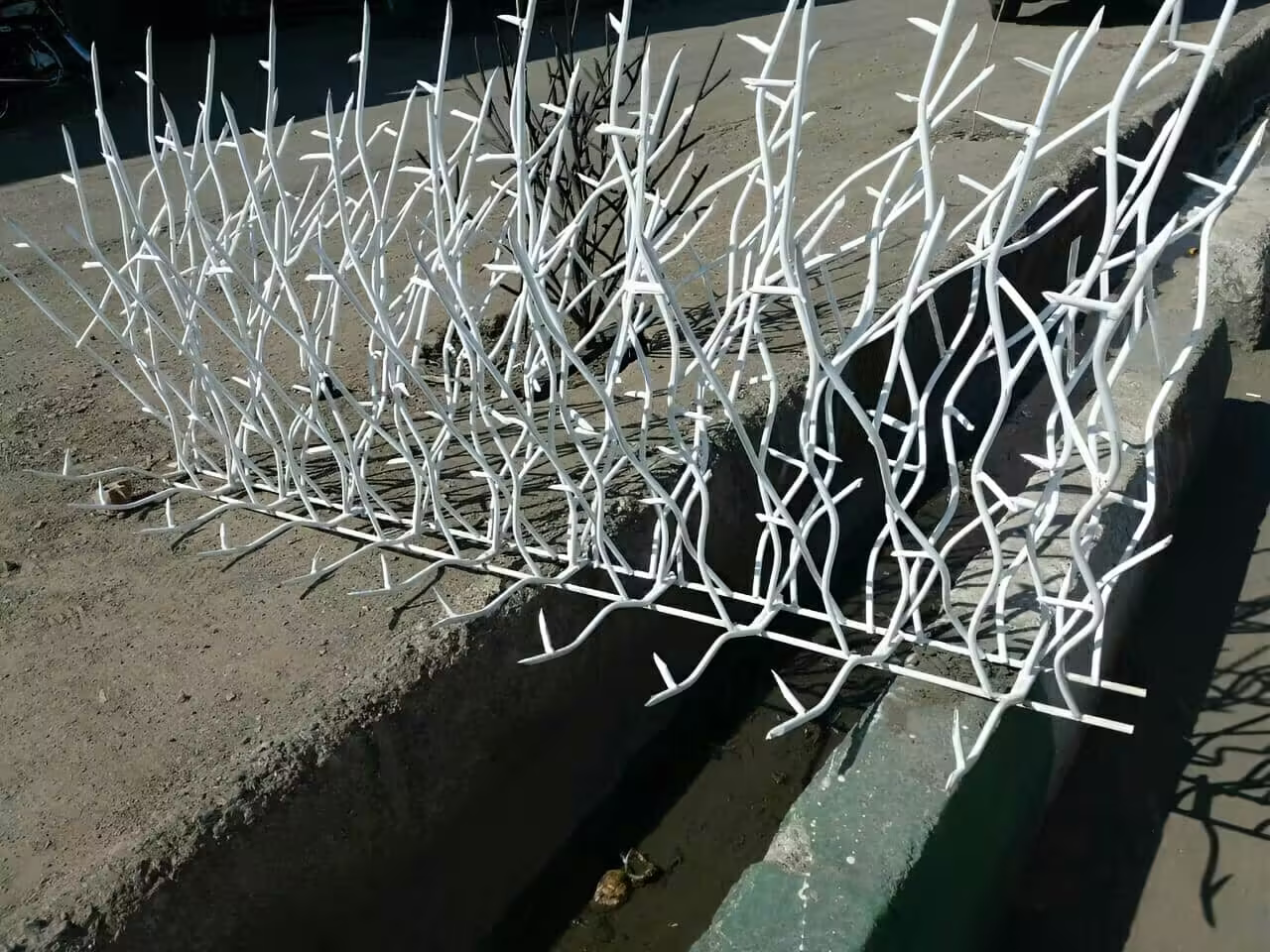 وزن استاندارد حفاظ شاخ گوزنی