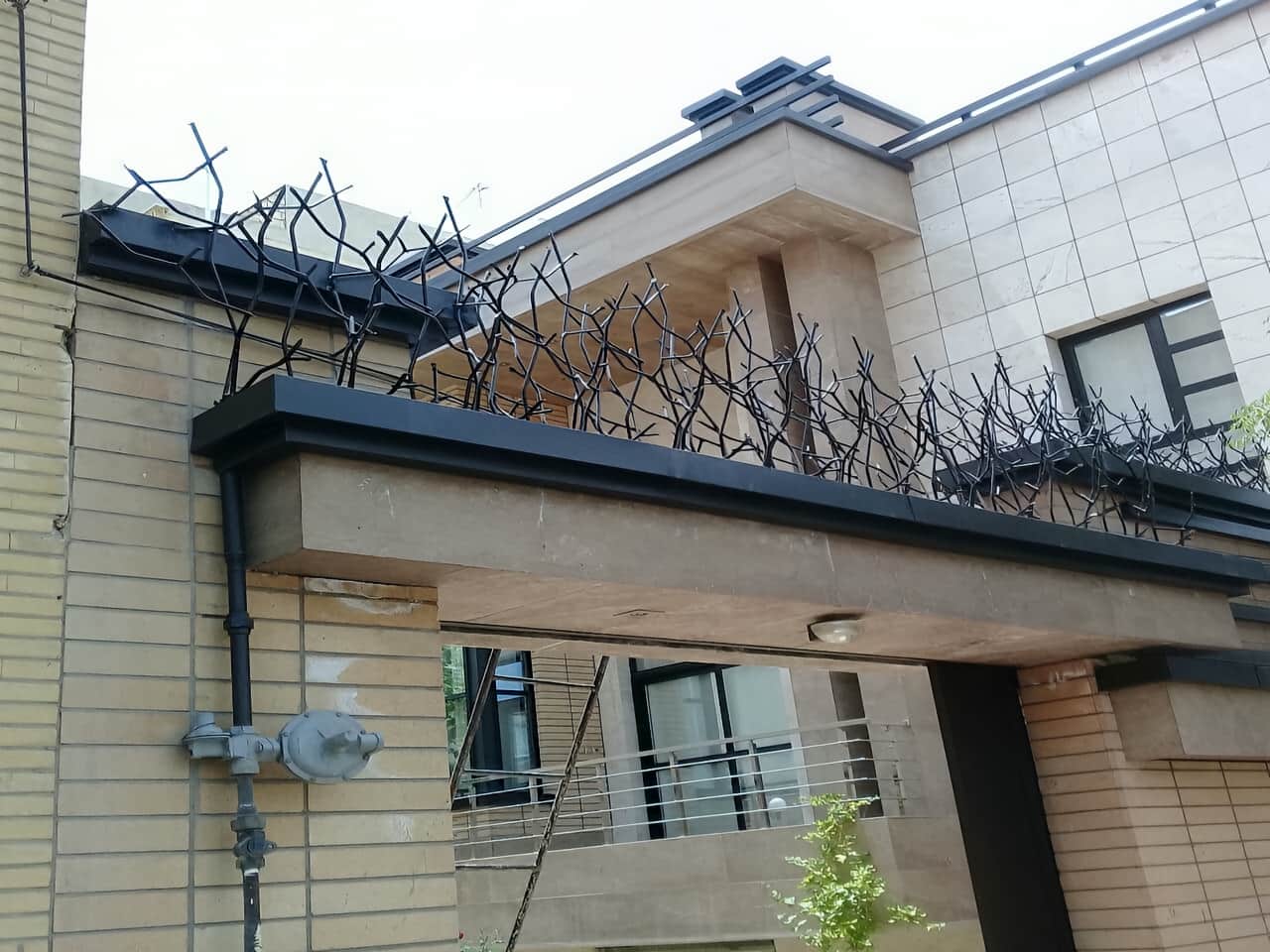 حفاظ شاخ گوزنی بر روی دیوارهای با ارتفاع کم