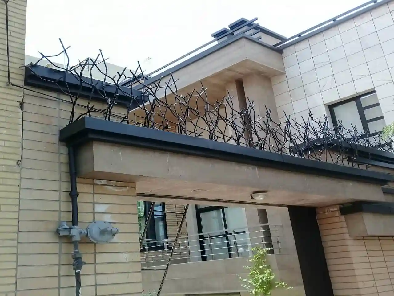 حفاظ شاخ گوزنی بر روی دیوارهای با ارتفاع کم