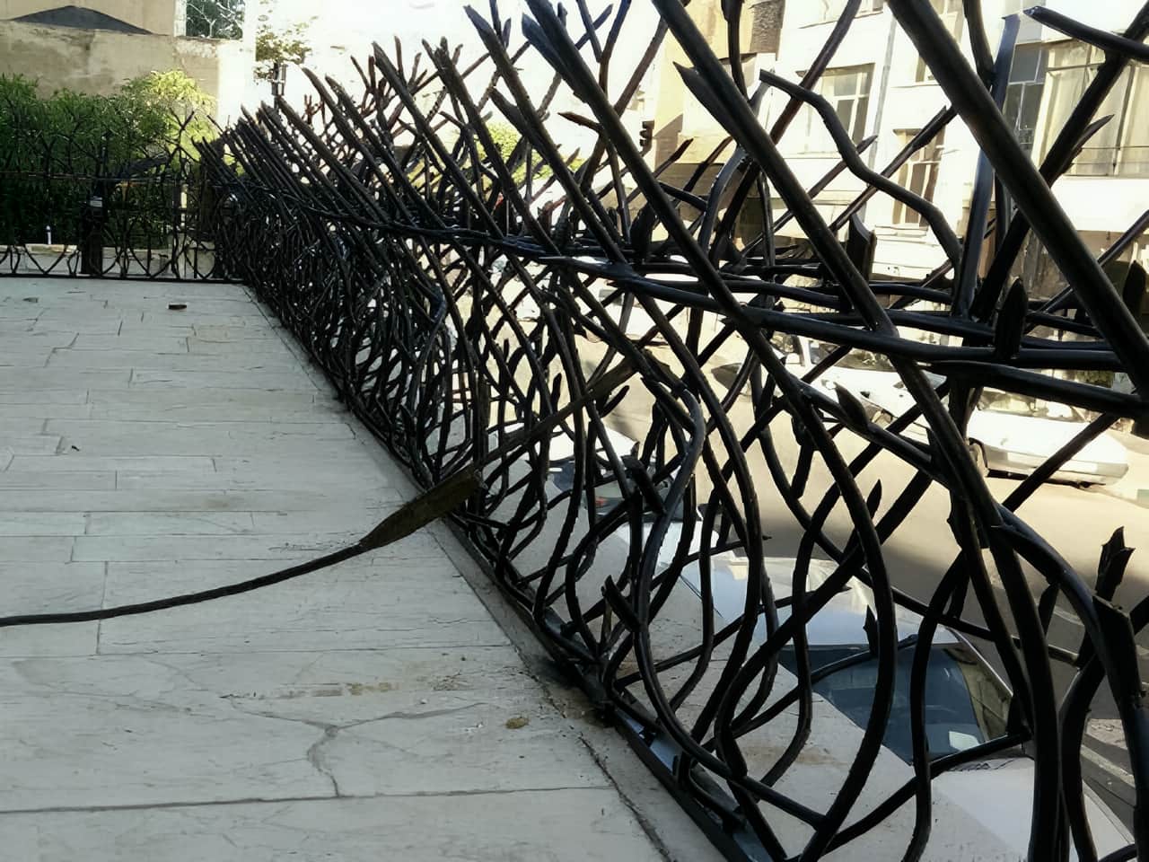 حفاظ شاخ گوزنی چیست