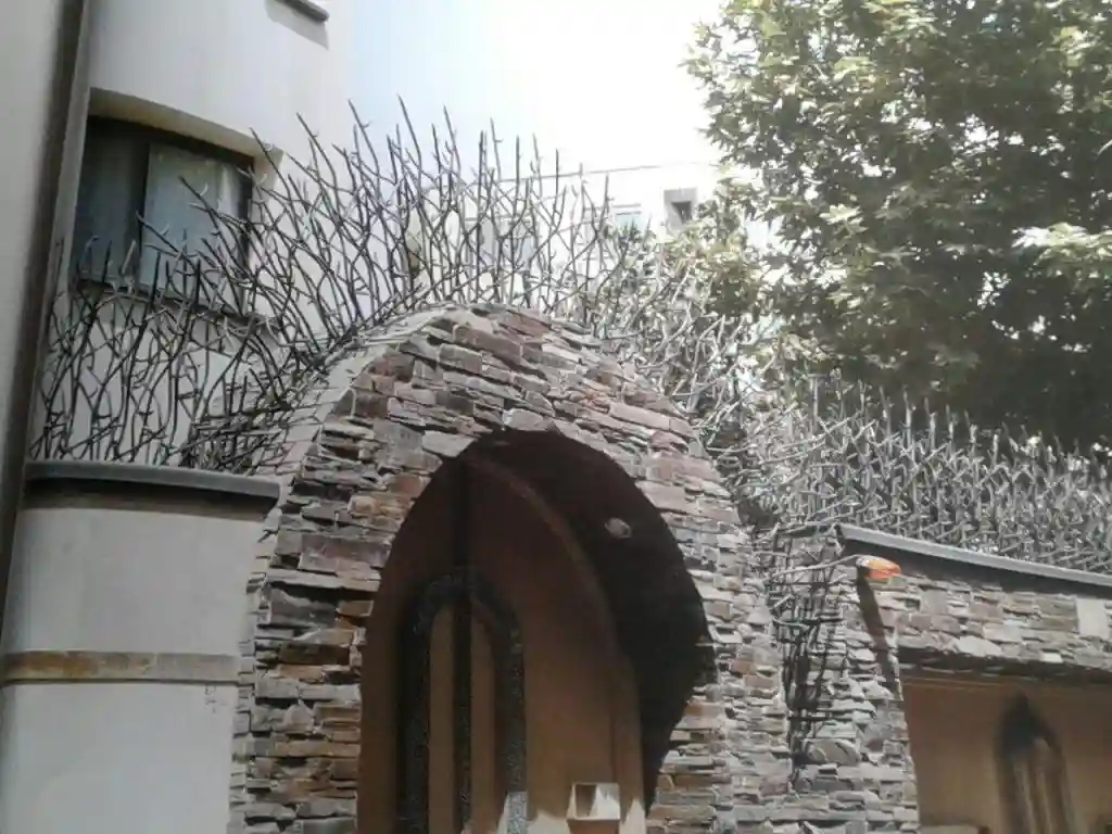 خرید حفاظ شاخ گوزنی