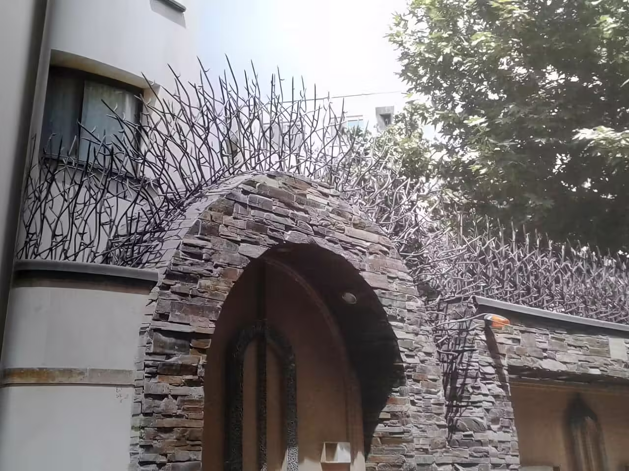 خرید حفاظ شاخ گوزنی