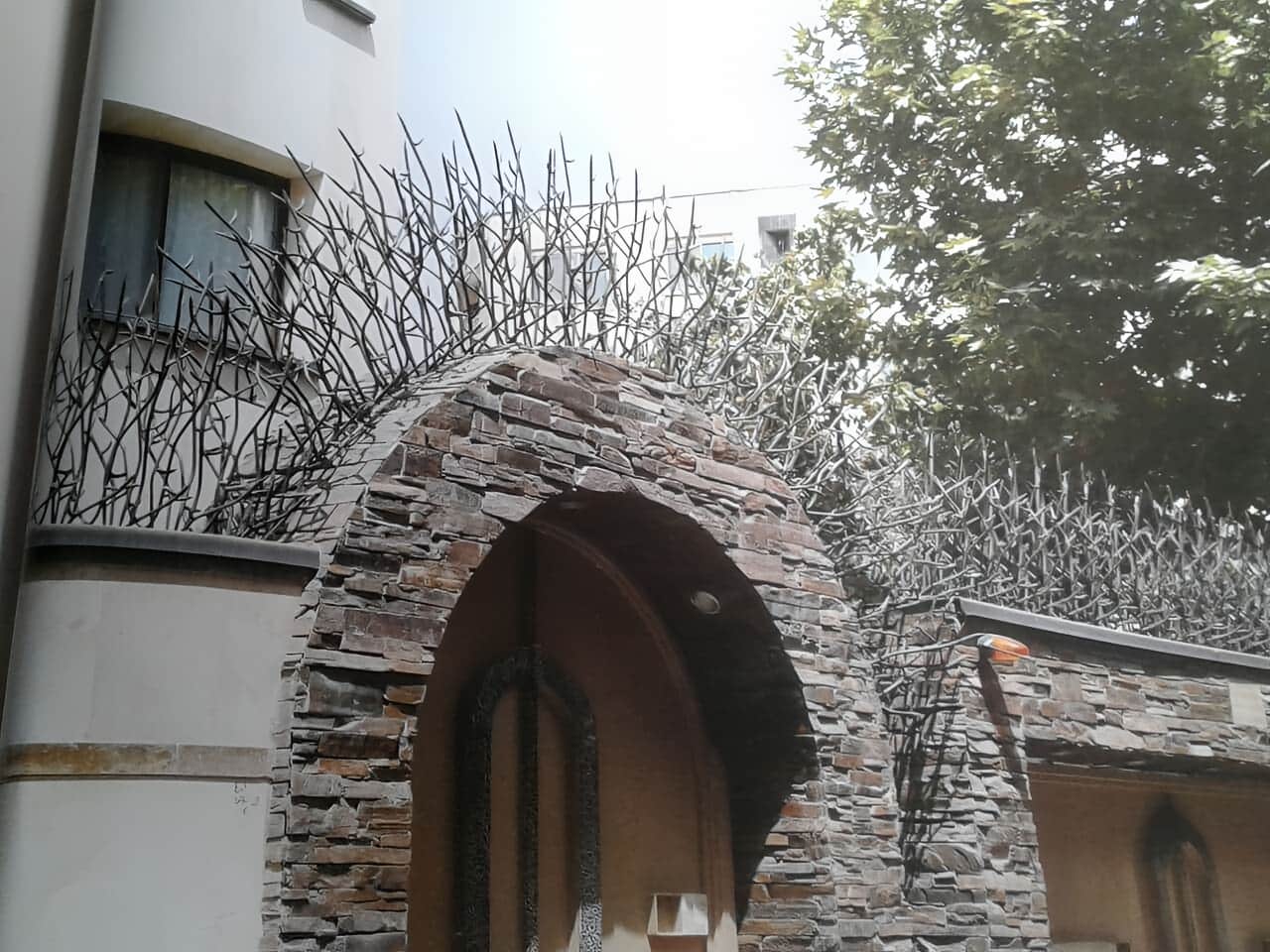 خرید حفاظ شاخ گوزنی