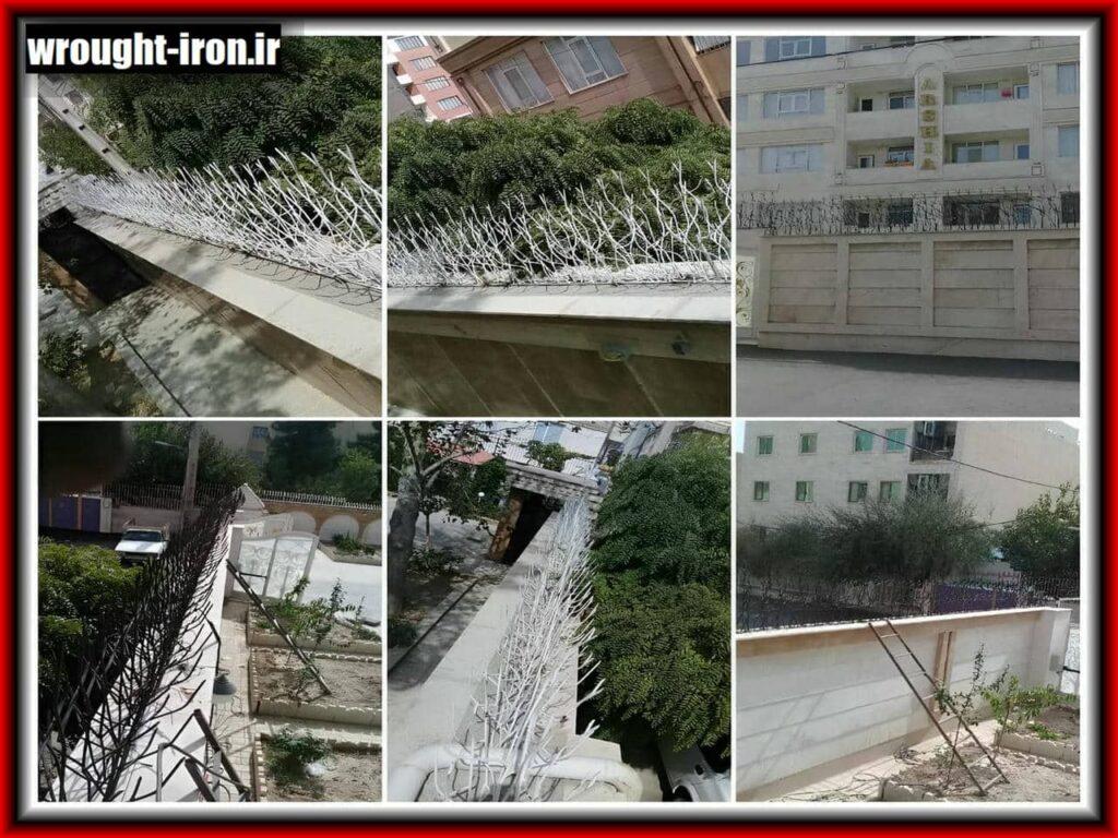 قیمت حفاظ شاخ گوزنی چقدر است؟