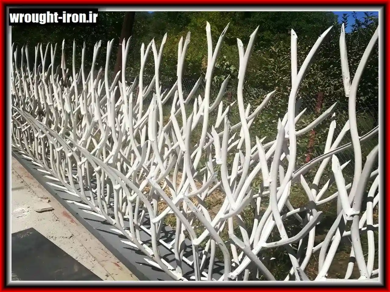 حفاظ شاخ گوزنی حفاظ شاخ گوزنی