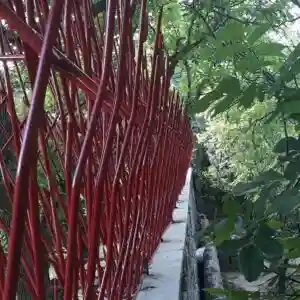 حفاظ بوته ای تراکم 53 دیواری