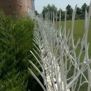 حفاظ بوته ای تراکم 67 دیواری