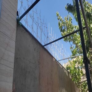 حفاظ شاخ گوزنی تراکم 22 اقتصادی