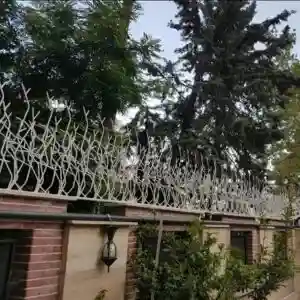 حفاظ شاخ گوزنی تراکم 31 دیواری