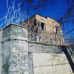 حفاظ شاخ گوزنی تراکم 40 دیواری