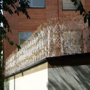 حفاظ لیلیوم دیواری