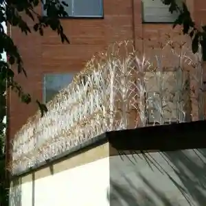 حفاظ لیلیوم دیواری