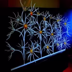 حفاظ گل آفتابگردان دیواری