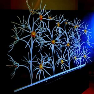 حفاظ گل آفتابگردان دیواری