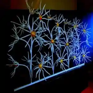 حفاظ گل آفتابگردان دیواری