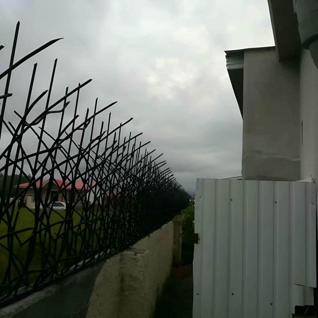 fence-wall-protection-deer-antler-spear-ou حفاظ شاخ گوزنی برای ساختمان