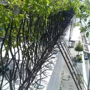 خرید و تولید حفاظ شاخ گوزنی