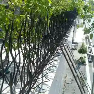 خرید و تولید حفاظ شاخ گوزنی