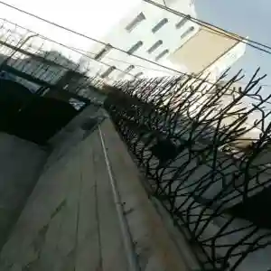 بهترین حفاظ دیوار آپارتمان و ویلا