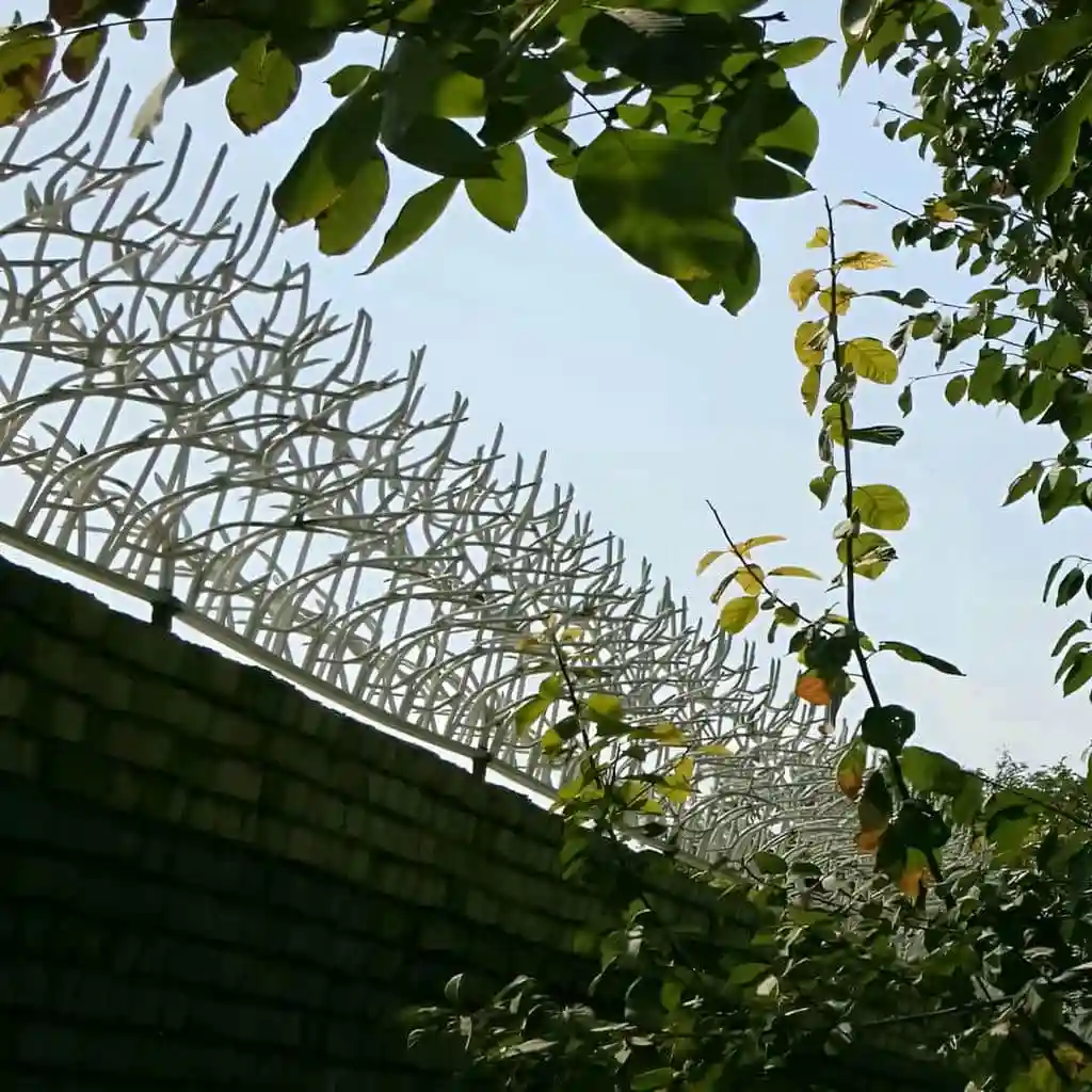 حفاظ شاخ گوزنی مقاوم