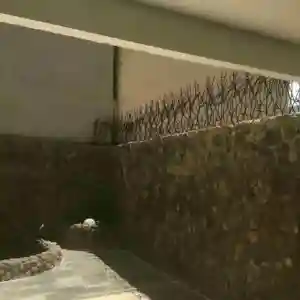 هزینه تولید و نصب شاخ گوزنی