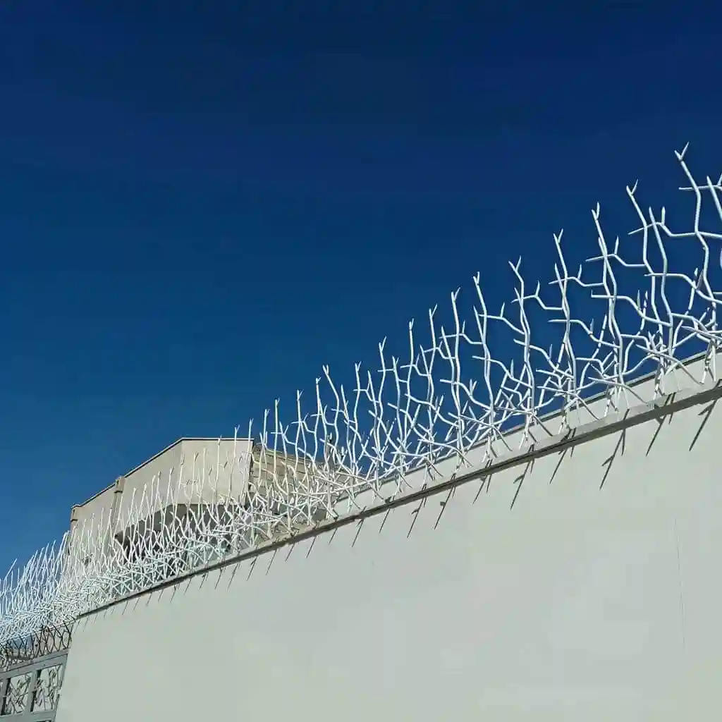 حفاظ شاخ گوزنی مقاوم