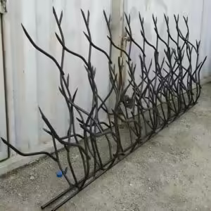 کاربرد حفاظ شاخ گوزنی