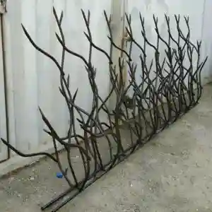 کاربرد حفاظ شاخ گوزنی