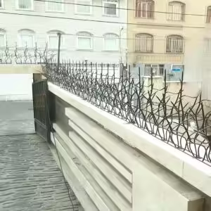 حفاظ شاخ گوزنی چیست