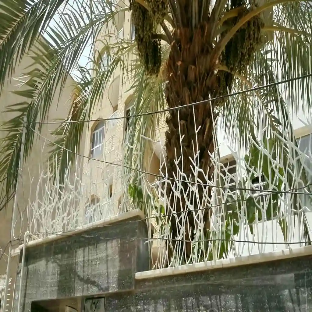 حفاظ شاخ گوزنی با طراحی مدرن