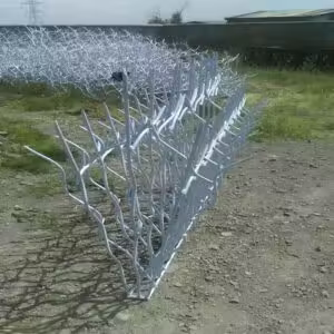 ساخت حفاظ شاخ گوزنی روی دیوار آپارتمانی و ویلا