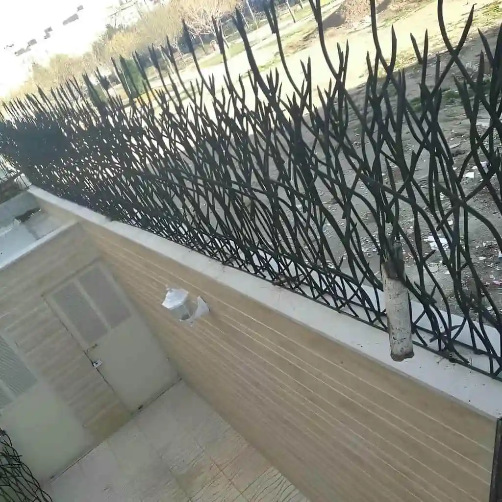 حفاظ شاخ گوزنی با طراحی مدرن