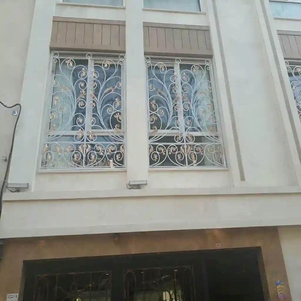 عکس های حفاظ پنجره فروش