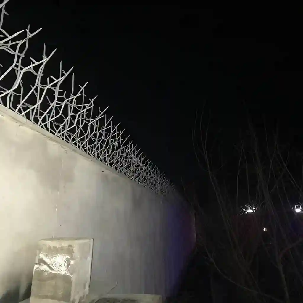 حفاظ شاخ گوزنی اقتصادی