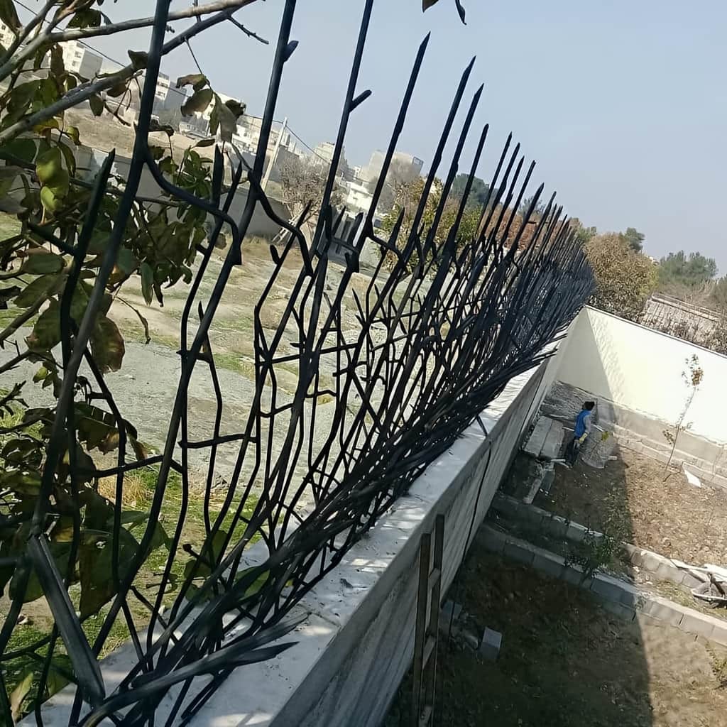 حفاظ شاخ گوزنی قیمت