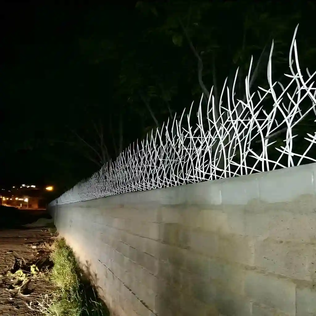 حفاظ شاخ گوزنی تراکم 34 خرید