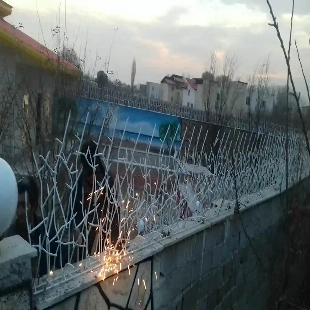 خرید حفاظ شاخ گوزنی برای دیوار