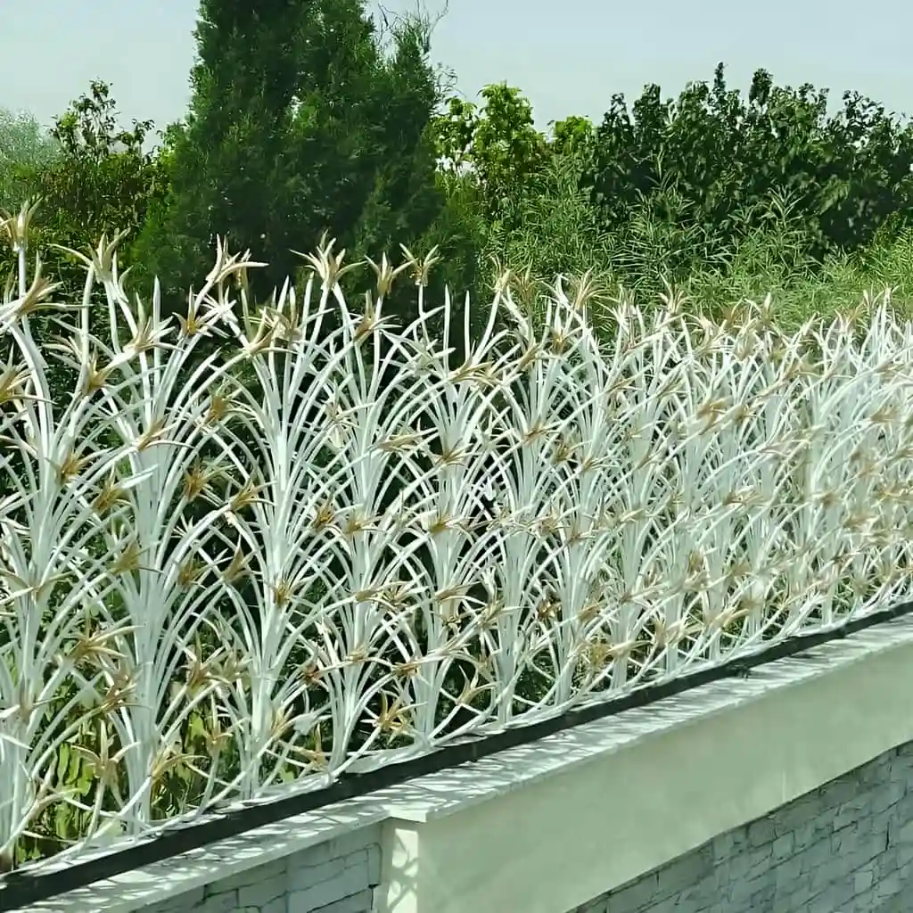 فروش حفاظ لیلیوم