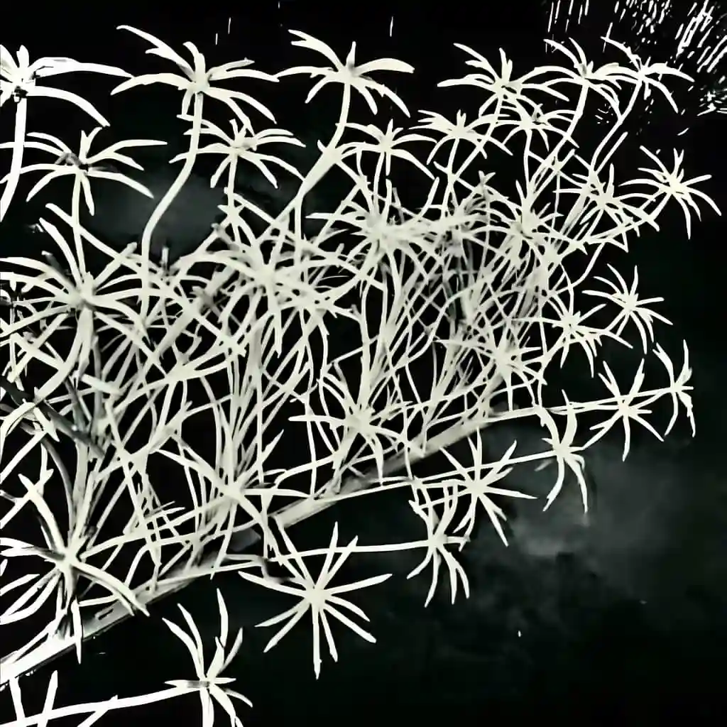 نصب حفاظ نخل مرداب دیواری