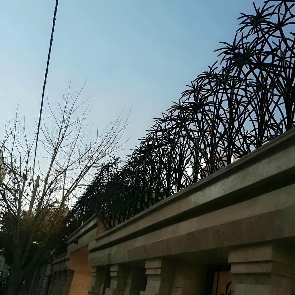 حفاظ نخل مرداب دیواری برای ویلا